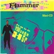 MC Hammer - Have You Seen Her